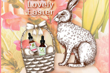 Have a Lovely Easter – Special Offer for You…