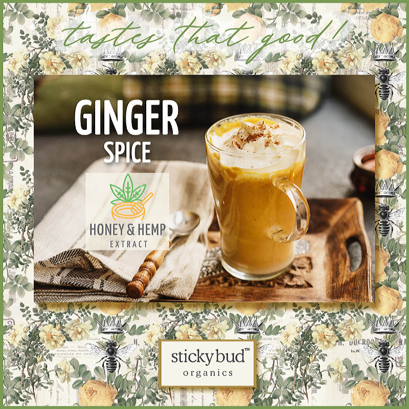 Ginger Spice Honey & Hemp Extract